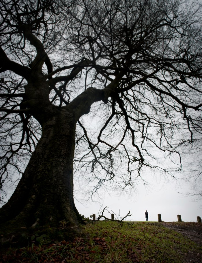 Untitled_Panorama1ergwb