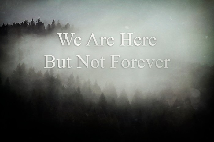 We are Here Inner Cover2